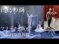 ストーリーや見どころ解説付き!世界的なダンサー、マラーホフさん振り付けの白鳥の湖の公演がありました!