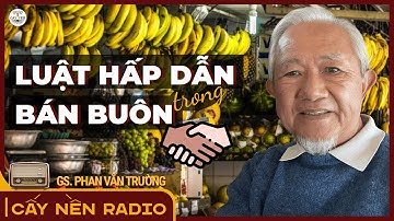 Luật hấp dẫn trong Bán Buôn l Tác giả: GS. Phan Văn Trường l Cấy Nền Radio
