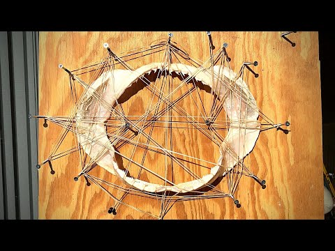 DIY: How To Preserve SHARK JAWS (Tips & Tricks)