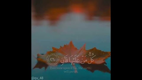 سورة الرحمن كُلُّ مَنْ عَلَيْهَا فَانٍ (26) وَيَبْقَى وَجْهُ رَبِّكَ ذُو الْجَلَالِ وَالْإِكْرَامِ