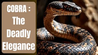 COBRA : The Deadly Elegance by LES ANIMAUX DE COMPAGNIE  187 views 8 days ago 9 minutes, 51 seconds