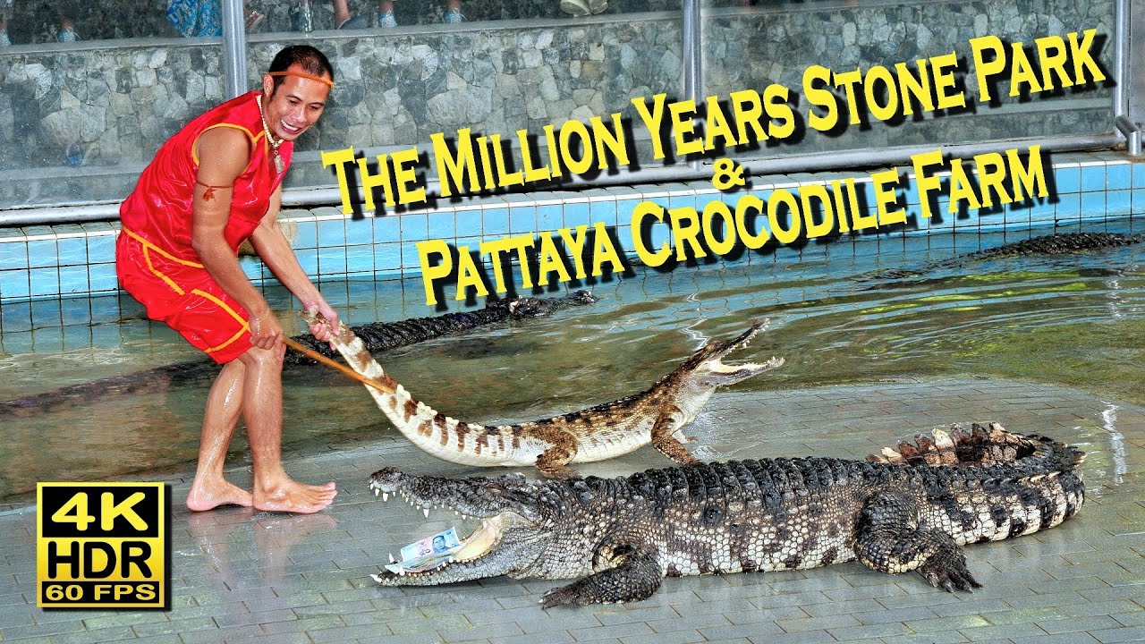 The Million Years Stone Park & Pattaya Crocodile Farm in 4K 60fps HDR 💖 Walking Tour 👀 Thailand 🇹🇭