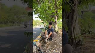 Planting 10 Lakh Trees #shorts #shortsfeed #viral #new #shortvideo #motivation