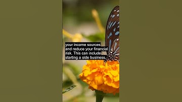 The Power of Diversification: Building Multiple Streams of Income for Financial Freedom