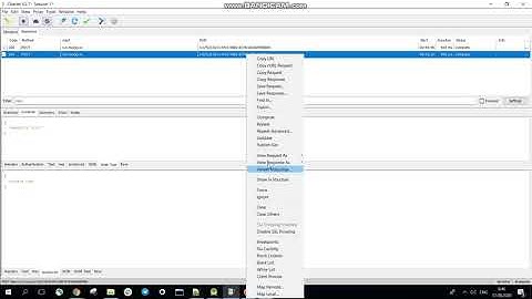 Повторение запросов в Charles Proxy через Repeat и Repeat Advanced