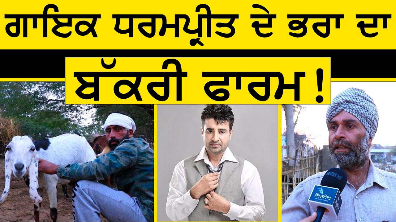 Punjabi Singer Dharampreet ਦੇ ਭਰਾ  ਦਾ Bakri Farm | Bilaspur | Goat farming | Moga | Sirlekh