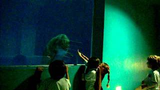 DSCF7894.AVI