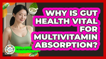 Why Is Gut Health Vital For Multivitamin Absorption? - The Health Supplement Hub