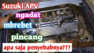 penyebab mesin ngadat dan mbrebet || mobil Suzuki APV