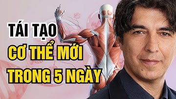 Tái Tạo Cơ Thể Trong 5 Ngày (Không Cần Ăn) I Tiến Sĩ Valter Longo