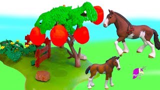 Don't Eat The Apples ! Horses Draft Horses Life Story Honey Hearts Video