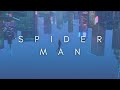 The Beauty Of Spider-man : Into The Spider-Verse