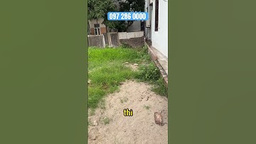 Sốc chủ hạ bán nhanh lô đất ô tô 16 chỗ chạy qua đường thông chỉ 4.đ #datgialam #datdaton #datkieuky