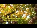 劉文正 尋夢園 Steven Liu A Dream Garden 