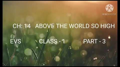Class:- 1, Subject:- EVS, Chapter:- 14 part 3