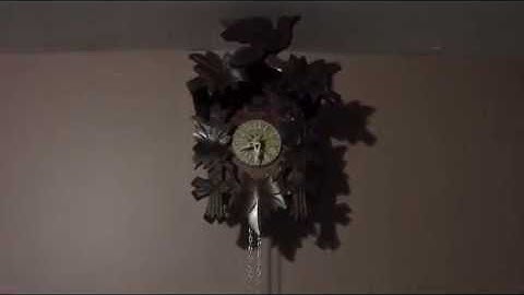 Cuckoo clock setup guide