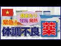 【ベトナム旅行 急な体調不良に】食あたり・発熱・抗生物質 薬局の探し方【意外と知らない海外の薬事情】