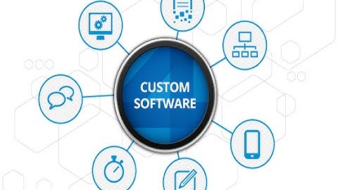 Custom Software Solutions Provider Developer Designer Programmer Consultant Analyst Offer