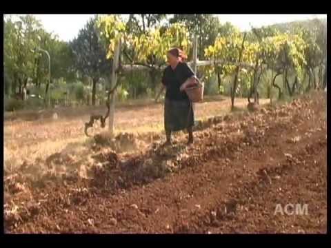 La semina del grano...antico mestiere. ( recchiacanacaccia prod)