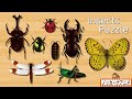 【昆虫・虫パズル】カブトムシやクワガタムシなど色んな虫が登場！子供向けアニメ★ Insects Puzzle kids anime