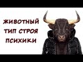 Как вовремя  распознать в себе зомби? Экспресс - тест на человечность