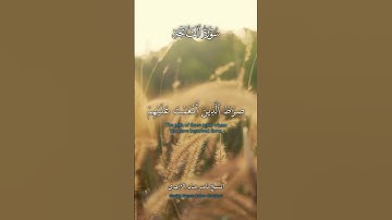 سورة الفاتحة - الشيخ ناصر صابر الأزهري / Surah Al-Fatihah - Sheikh Nasser Saber Al-Azhari