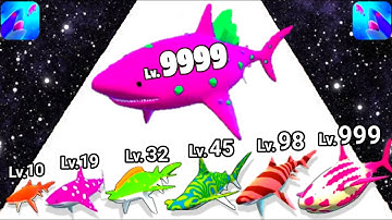 Shark Attack - Level Up Shark Max Level Gameplay Part 2 (Shark Evolution Run)
