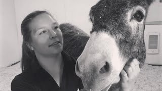 Small Talk Podcast with Chris & Marlene with guest: Grace Sant, June 26th, 2026