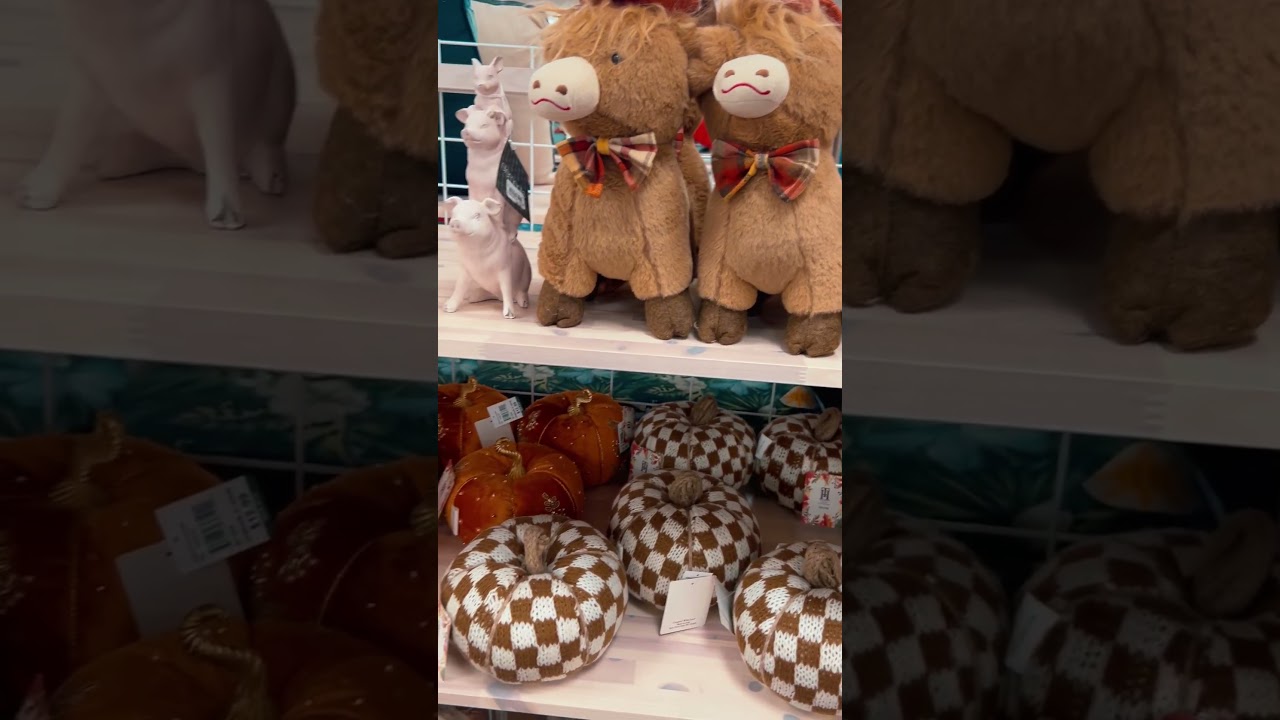 Bealls Fall and Halloween Decor 2025 