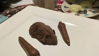 Chocolate Guineapig