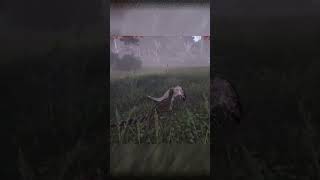 Baby Fight in The Isle! Omniraptor vs 3 mix packers #theisle #evrima #omniraptor #allosaurus #rex