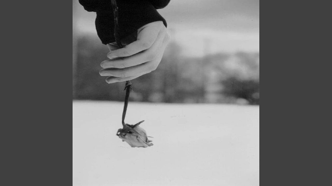 Watch FOOLS on YouTube Watch FOOLS on YouTube