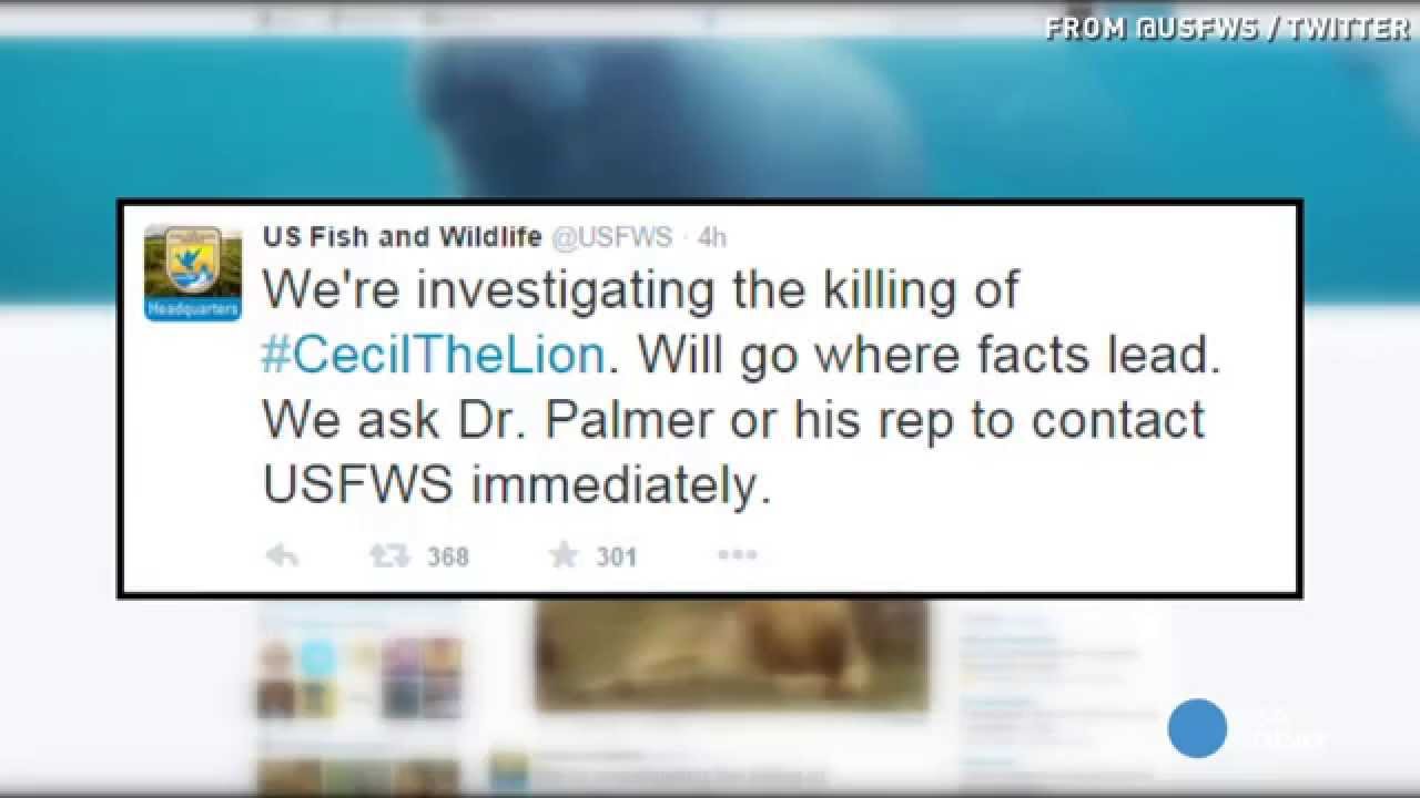 Feds investigating the killing of Cecil the lion