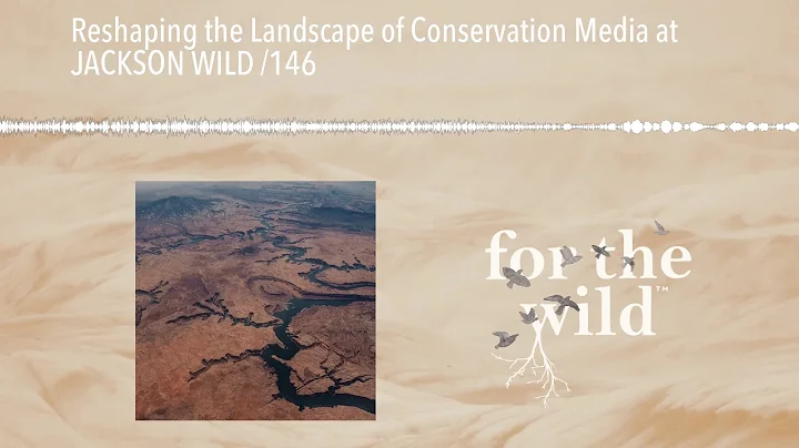 Reshaping the Landscape of Conservation Media at J...