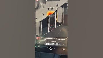 USS (Ultrasonic Sensors)  vs Tesla vision (New)