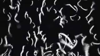 Corkscrews