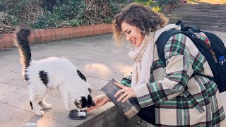 Two Girls' Love for a Stray Cat | Street Cat 4K