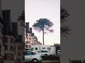 Southampton on 35mm 📍🎞️ #reels #filmphotography #southampton #solent #canona1 #film #35mm #viral