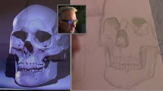 ANATOMY 360- Skull Sketcher