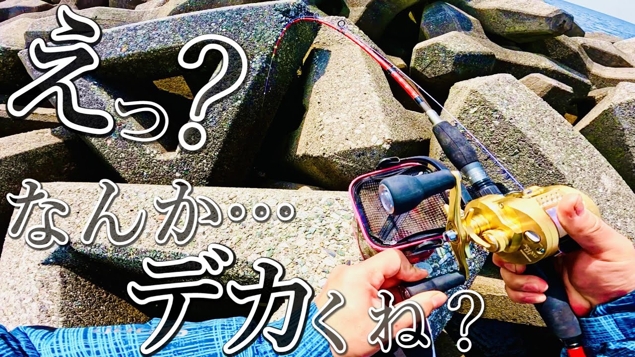 【穴釣り】超浅場から思わぬ良型が・・・。