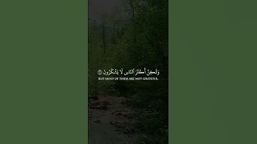 {وقال ربكم ادعوني استجب لكم} سورة غافر|ياسر الدوسري