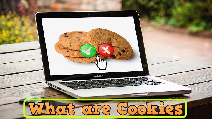 What are Cookies | And How They Work | Explained for Beginners! | Website Cookies | Carry Education