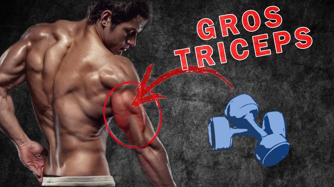 COMMENT AVOIR DE GROS BRAS (TRICEPS) - YouTube