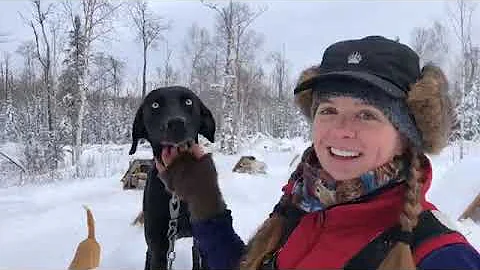 Kennel Tour by Jessica Gable // KALE CASEY LIVE