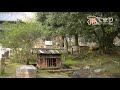 一本刀土俵入り 懐かしいあの頃B-6
