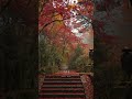 【兵庫】ここの紅葉、穴場スポットです…！