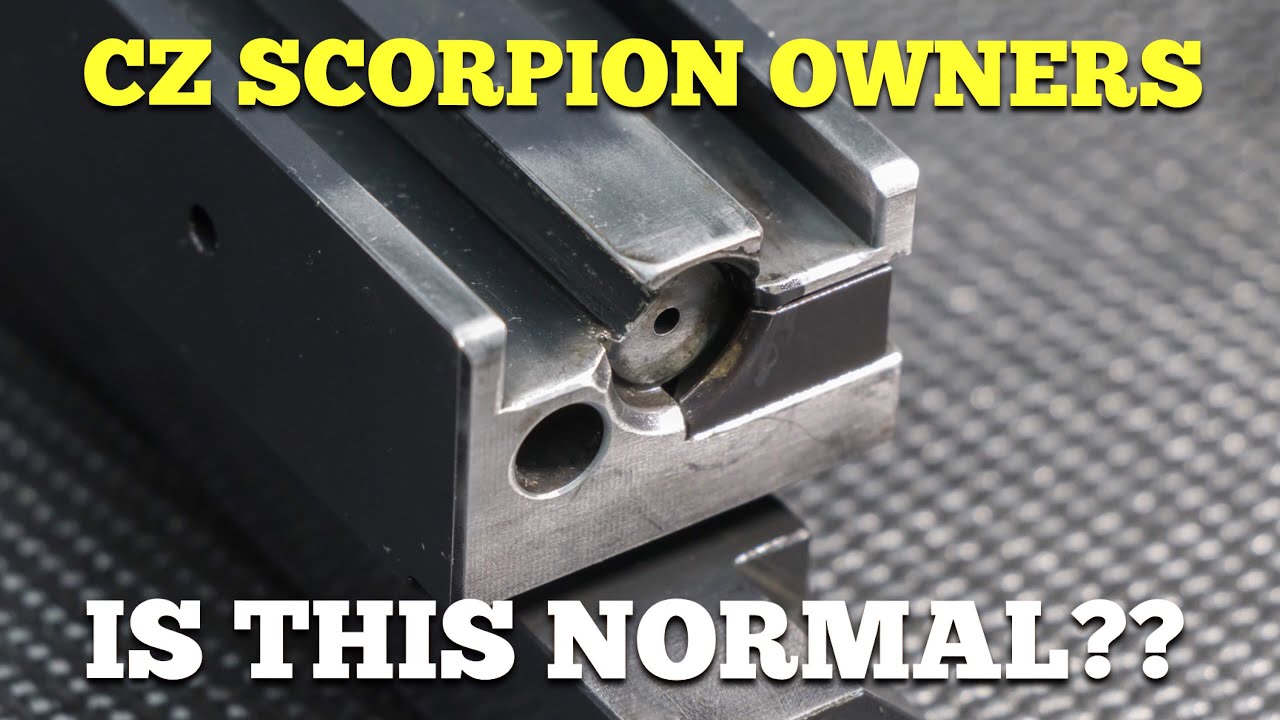 CZ SCORPION OWNERS.... IS THIS NORMAL??