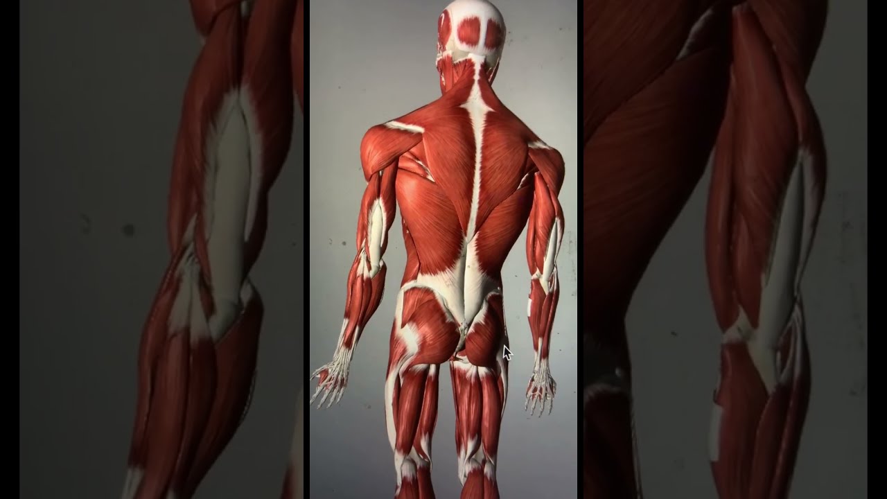 How Farmers Can Fix Low Back Pain