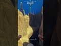 [Subnautica 2] Where To Find Salt #shorts #shortvideo  #gamingvideos