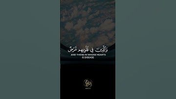 القارئ سعيد الخطيب { لئن لم ينتهِ المنافقون } بصوت جميل #قرآن #قران_كريم #حالات_واتس
